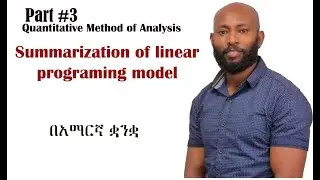 summarization of linear programing model