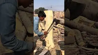 Hydraulic Beast Mode 💥 Crushing Massive Timber Logs Into Clean Split Sections #wood #shorts