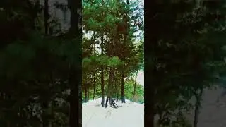 burj banda shangla