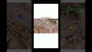 who win the match | funny moments 😂 @Codeing24by7 #shorts #viral #love #coding