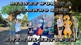 Disney World & Orlando 2024 🏰 Day 11 🏰 Animal Kingdom ✨ Last Dinoland Visit ✨ Rafiki's Planet Watch✨