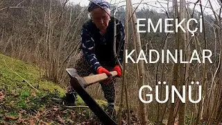 EMEKÇİ KADINLAR // FINDIK DİKİMİ