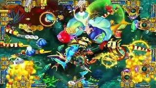 How to Play Fish Game
