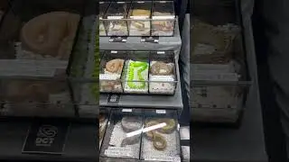 At Repticon show pythons for sale