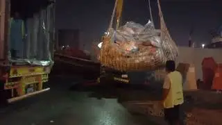 Dubai After Dark  A Beautiful Night City Tours