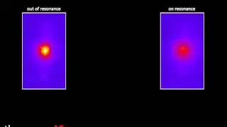 Energy and momentum transfer in one dimensional trapped gases by stimulated light scattering