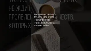 Из кувшина можно вылить только то, что в нём есть&hellip; #мудрость #цитаты #жизнь #осознанность