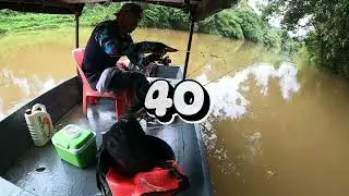 100% Strike Video-Mancing udang galah di sungai Kpg Paya mebi Sarawak-23/3/2025 Ahad Ramadhan ke 22