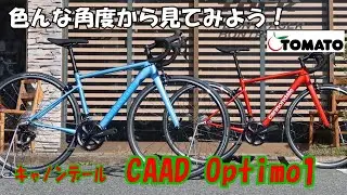 色んな角度から見てみよう！キャノンデール CAAD Optimo 1[サイクルショップTOMATO]