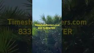 TimeshareRenters.com | 833-5-RENTER