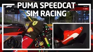 Puma Speedcat For Sim Racing? | F123 Cockpit Camera
