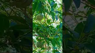 #nature #environment