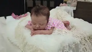 Rose doll show 2024 (part 6/6) 🌹