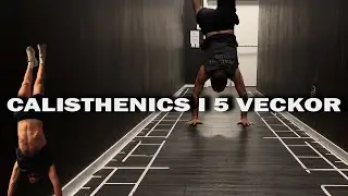 Jag Testade Calisthenics i 35 Dagar