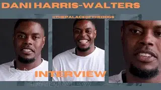 @THEPALACEOFTHEDOGS X DANI HARRIS-WALTERS