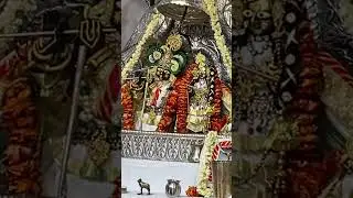 Ladli ji bada mandir Chandni Chowk, shrad utsav 🌚