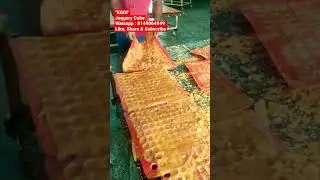 गुड़ फैक्ट्री//Jaggery Factory Visit//Jaggery Cube #shorts#shortsfeed #viral#youtubeshorts#trending