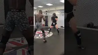 This is what Filming High Level MMA Sparring looks like