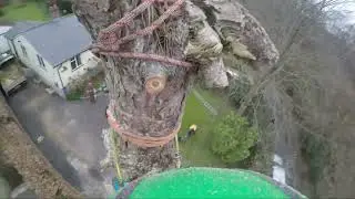 Wiggle wiggle #arborist #climbing #treeclimbing #treework #treesurgeon