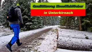❄🌡Frostig kalte Wintertour in Unterkirnach | MoosWaldGeher | Schwarzwälder Qualitätsweg