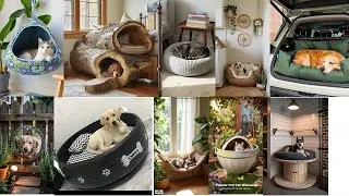 OUTDOOR PET PALACES: 10 Designer Hacks for Luxury Dog Beds & Cat Houses