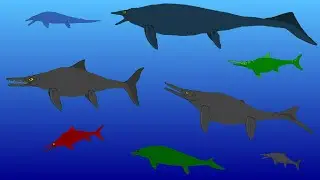 Sea Monsters - Ichtyosaurs - Animated Size Comparison - (Extinct Marine Reptiles)