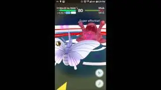 Pokemon GO: Venomoth vs Muk