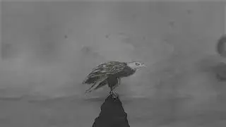 The Eagle (Animation)- Alfred Lord Tennyson