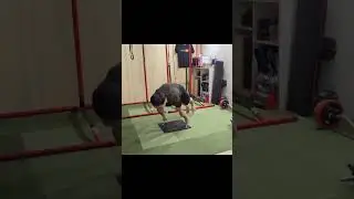 Guy Shows Insane Strength While Doing One Finger Full Planche - 1283909-1