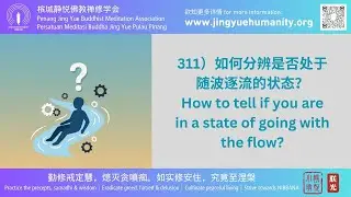 311）如何分辨是否处于随波逐流的状态？How to tell if you are in a state of going with the flow?