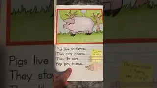 Draw Write Now Series Video Review