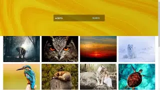 create an image search engine website | use HTML CSS and JS | TEXT TO IMAGE