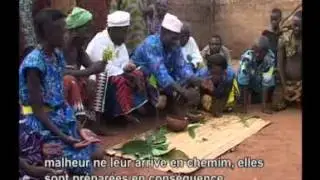 Les Amazones du Danxomè 