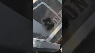 Jeep Comanche Paint and Bodywork
