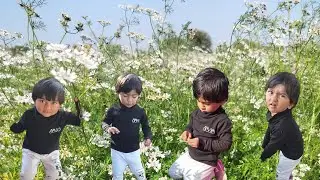 Village Vlog ! Farm Vlog ! Gamdani Moj - Gujarati Vlog #fristvlog #moj #hello #vlogs #gujrati #cute 
