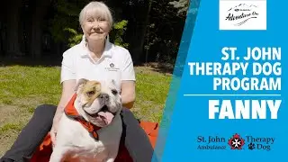 St. John Ambulance Therapy Dog Program - Fanny | Subaru Adventure On
