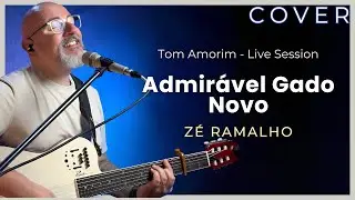 Admirável Gado Novo - Zé Ramalho | Tom Amorim Cover (Live Session)