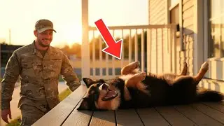 😊 😊 😊 Soldier Dad Returns After Years. Dogs Go Crazy with Joy! #dog
