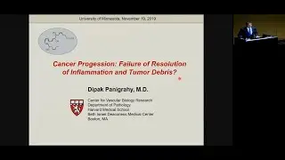 November 19, 2019 - Dipak Panigrahy, MD, PhD
