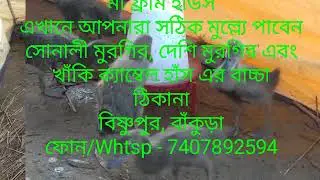 Bankura , Duck and Hen fram