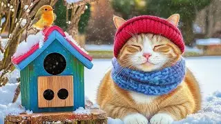 12 Hours Of Calming Music for Cats 😻 Cozy Winter Night Sounds for Long Restful Sleep ❄️🐾 Cat TV