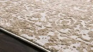 Loloi Patina Pj-03 Champagne - Light Grey Area Rug