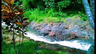 Tranquil River Ambience – Soft Stream and Forest Sounds for Deep Sleep and Inner Peace