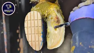 A surprisingly tricky hoof trim, here's how I FIXED it!