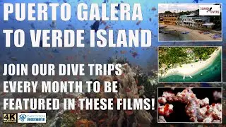 4K PUERTO GALERA TO VERDE ISLAND - Diving with Scandi divers Puerto Galera & Verde Island Sony A7IV