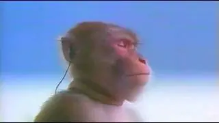 Психология Скальпинга 2