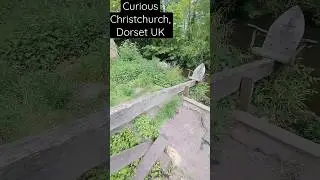The ancient town of Christchurch, in Dorset.