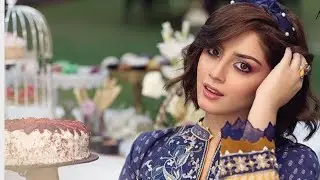 Alizeh Shah biography(age,profession,family,house,car,salary)