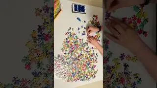 UNDER 40mins?! Puns, animals and puzzles! And almost... #cuteanimals #palapeli #puzzle #pussel #puns
