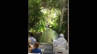 Scenic Boat Tour, Orlando FL